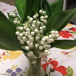 Meet your Posher, Angela